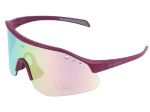 Sport Lunettes de soleil WS2140 Gamswild TR90