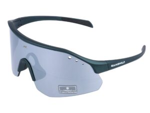 Sport Lunettes de soleil WS2140 Gamswild TR90