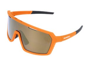 Sport Lunettes de soleil WS2244 Gamswild