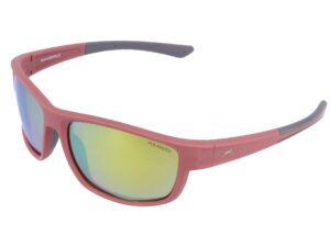 Sport Lunettes de soleil WS7434 Gamswild TR90