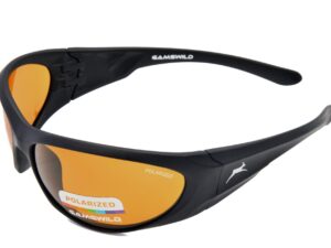 Sport Lunettes de soleil WS6134 Gamswild Polarized