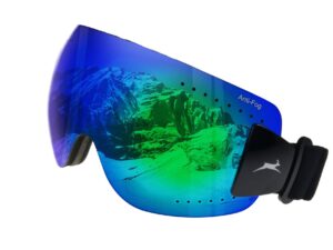 Ski Goggles WS9140 Gamswild Snow Goggles